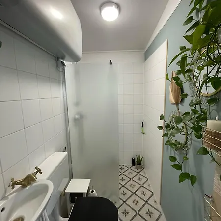 Bodrog-parti Holiday home